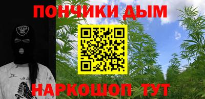 шишки Будённовск