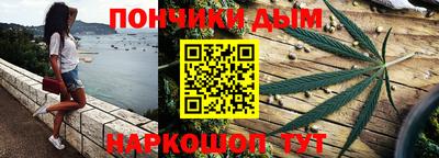 шишки Будённовск