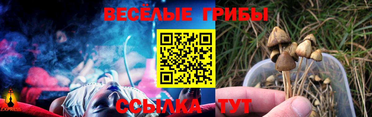 Псилоцибиновые грибы мицелий Лабинск